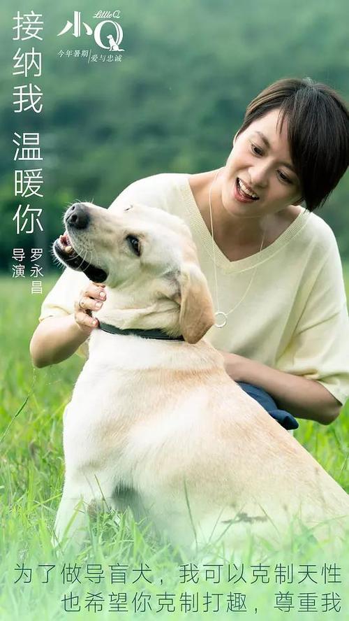 哪里能买到东华学院学位证